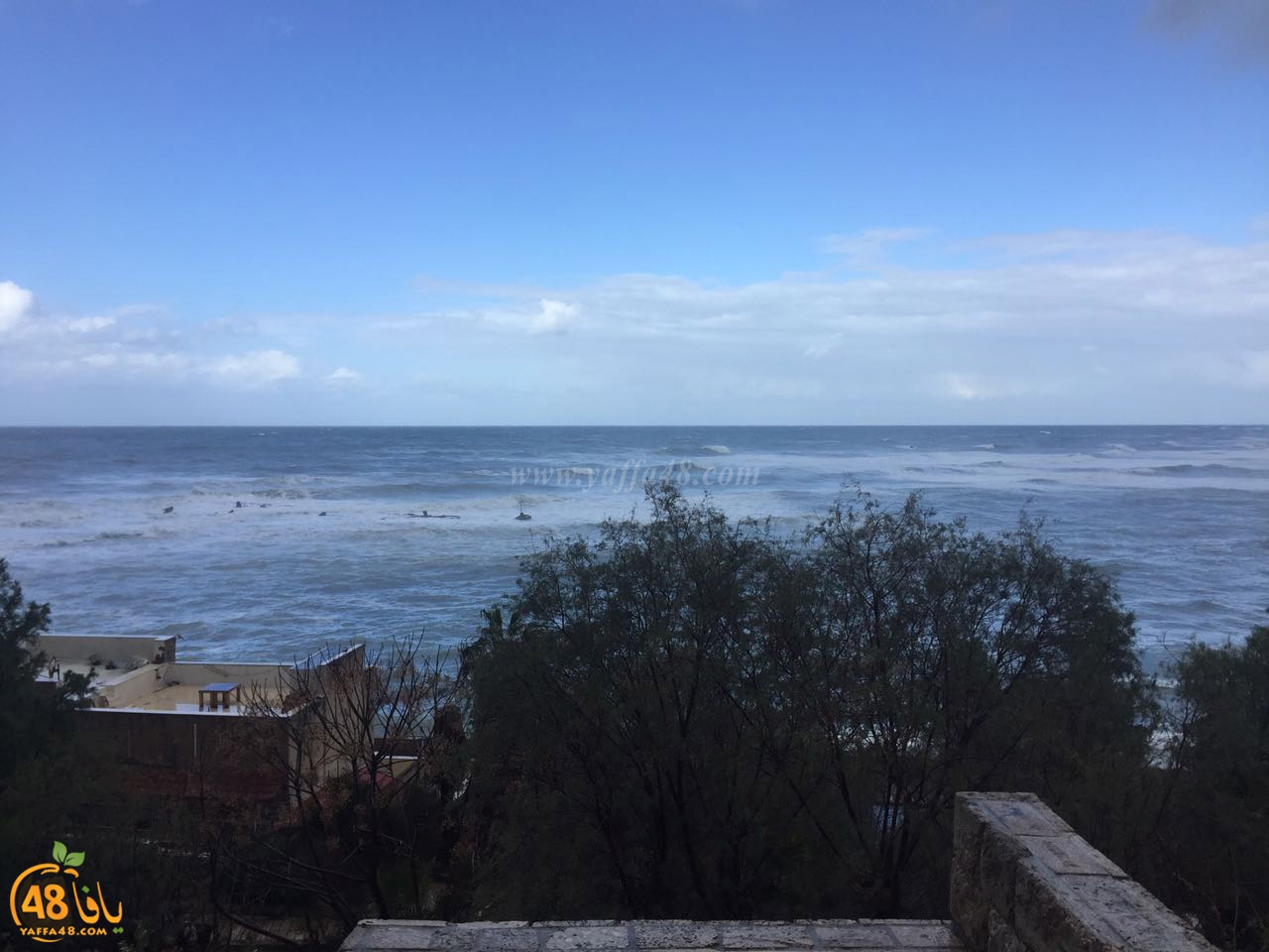 yaffa clouds3j (11).jpg